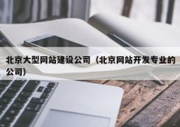 北京大型网站建设公司（北京网站开发专业的公司）