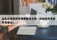 山东应用软件开发需要多少钱（济南软件系统开发报价）