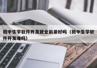 初中生学软件开发就业前景好吗（初中生学软件开发难吗）