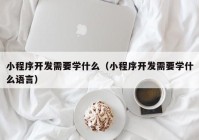 小程序开发需要学什么（小程序开发需要学什么语言）