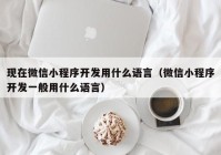 现在微信小程序开发用什么语言（微信小程序开发一般用什么语言）