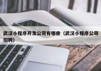 武汉小程序开发公司有哪些（武汉小程序公司招聘）