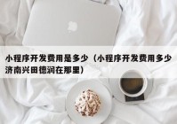 小程序开发费用是多少（小程序开发费用多少济南兴田德润在那里）