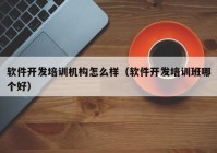 软件开发培训机构怎么样（软件开发培训班哪个好）