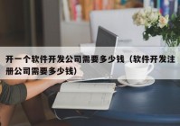 开一个软件开发公司需要多少钱（软件开发注册公司需要多少钱）