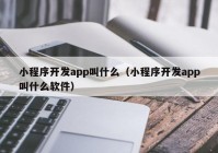 小程序开发app叫什么（小程序开发app叫什么软件）