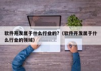 软件开发属于什么行业的?（软件开发属于什么行业的领域）