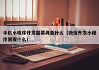 手机小程序开发需要具备什么（微信开发小程序需要什么）