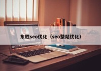 东胜seo优化（seo整站优化）