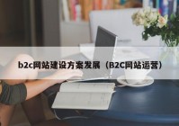 b2c网站建设方案发展（B2C网站运营）