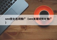 seo优化选词推广（seo关键词优化推广）