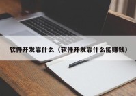 软件开发靠什么（软件开发靠什么能赚钱）