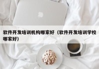 软件开发培训机构哪家好（软件开发培训学校哪家好）