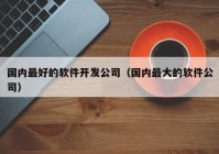 国内最好的软件开发公司（国内最大的软件公司）