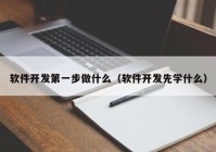 软件开发第一步做什么（软件开发先学什么）