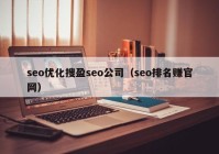 seo优化搜盈seo公司（seo排名赚官网）