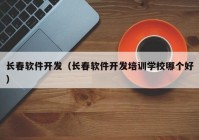 长春软件开发（长春软件开发培训学校哪个好）