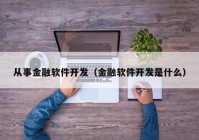 从事金融软件开发（金融软件开发是什么）