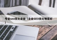 专业seo优化企业（企业SEO优化哪家好）