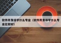 软件开发该学什么专业（软件开发该学什么专业比较好）