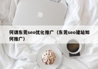 何谓东莞seo优化推广（东莞seo建站如何推广）