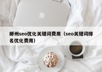 郴州seo优化关键词费用（seo关键词排名优化费用）