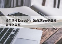 哈尔滨排名seo优化（哈尔滨seo网站排名优化公司）