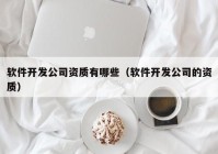 软件开发公司资质有哪些（软件开发公司的资质）