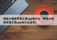 微信小程序开发工具app叫什么（微信小程序开发工具app叫什么名字）