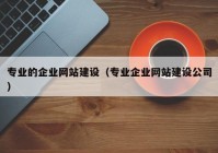 专业的企业网站建设（专业企业网站建设公司）