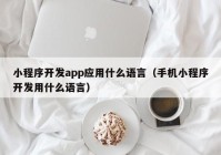 小程序开发app应用什么语言（手机小程序开发用什么语言）