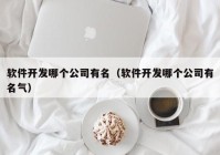 软件开发哪个公司有名（软件开发哪个公司有名气）