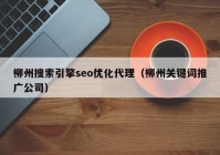 柳州搜索引擎seo优化代理（柳州关键词推广公司）