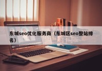 东城seo优化服务商（东城区seo整站排名）