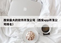 西安最大的软件开发公司（西安app开发公司排名）