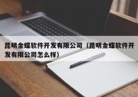 昆明金蝶软件开发有限公司（昆明金蝶软件开发有限公司怎么样）