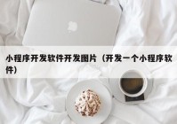 小程序开发软件开发图片（开发一个小程序软件）