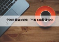 宁波谷歌seo优化（宁波 seo整体优化）