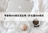 专业性seo优化怎么样（什么是Seo优化）