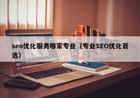 seo优化服务哪家专业（专业SEO优化首选）