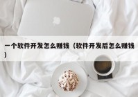 一个软件开发怎么赚钱（软件开发后怎么赚钱）