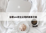 谷歌seo优化公司的简单介绍