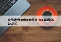 如何进行seo和seo优化（seo应该怎么优化）