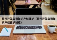 软件开发公司知识产权保护（软件开发公司知识产权保护制度）