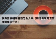 软件开发初学者该怎么入手（如何自学开发软件需要学什么）