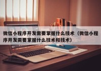 微信小程序开发需要掌握什么技术（微信小程序开发需要掌握什么技术和技术）