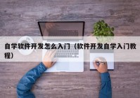 自学软件开发怎么入门（软件开发自学入门教程）