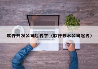 软件开发公司起名字（软件技术公司起名）