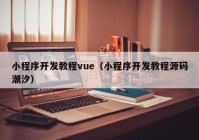 小程序开发教程vue（小程序开发教程源码潮汐）