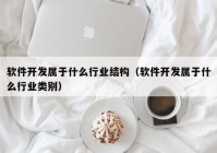 软件开发属于什么行业结构（软件开发属于什么行业类别）